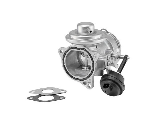 EGR ventil BorgWarner (Wahler) 7371D/1