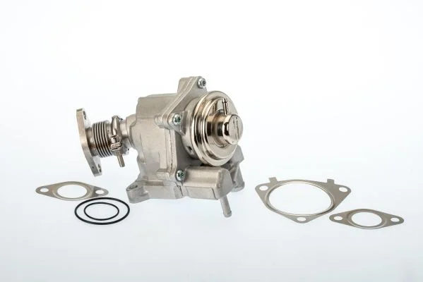 EGR ventil BorgWarner (Wahler) 7631D/1