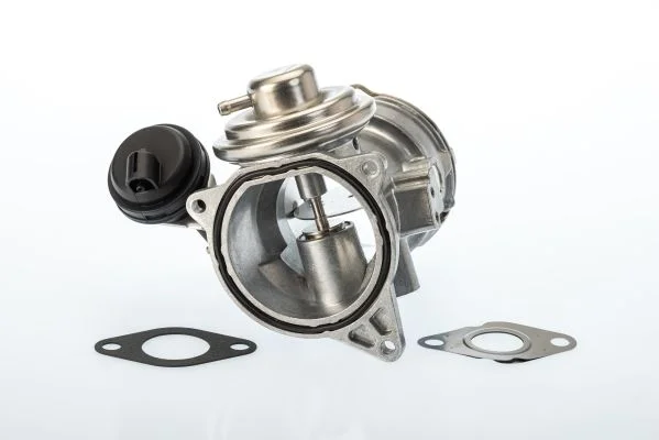 EGR ventil BorgWarner (Wahler) 7649D
