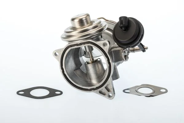 EGR ventil BorgWarner (Wahler) 7650D