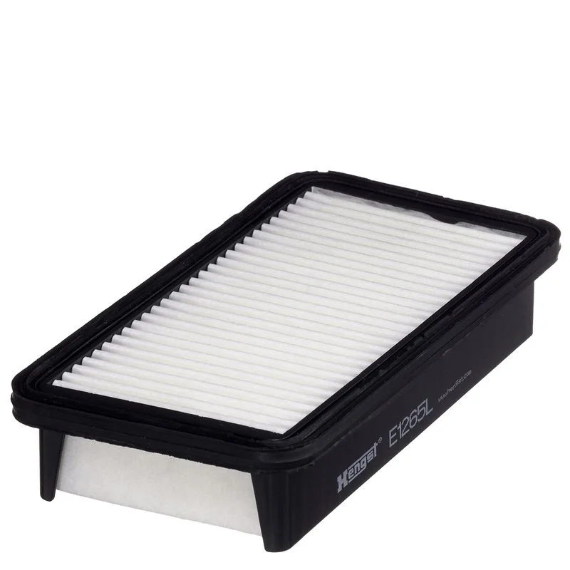 Oro filtras E1265L