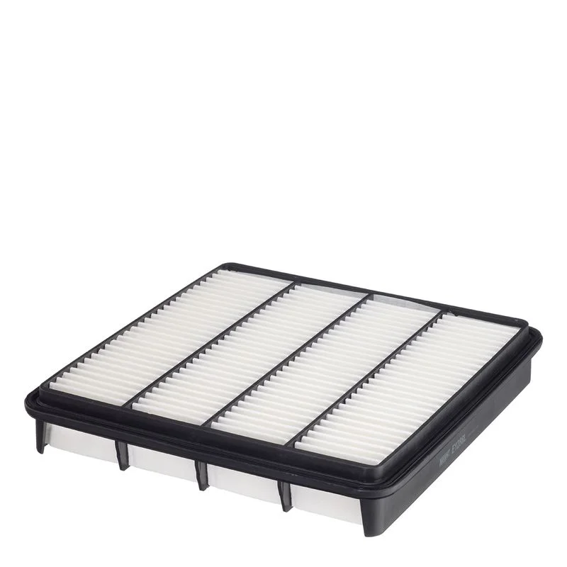 Oro filtras E1286L