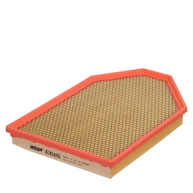 Oro filtras  E1646L