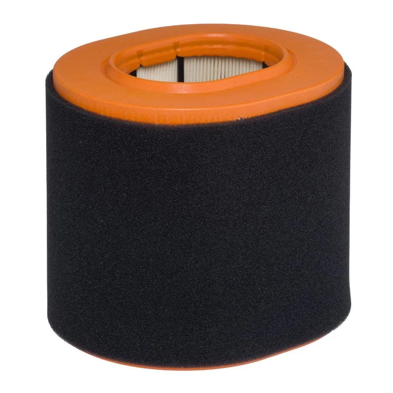 Oro filtras  E2145L