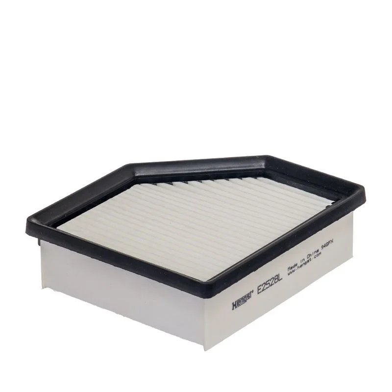 Oro filtras  E2528L
