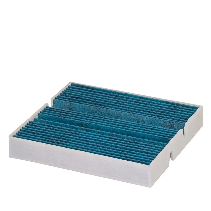 Filtras, salono oras  E5965LB