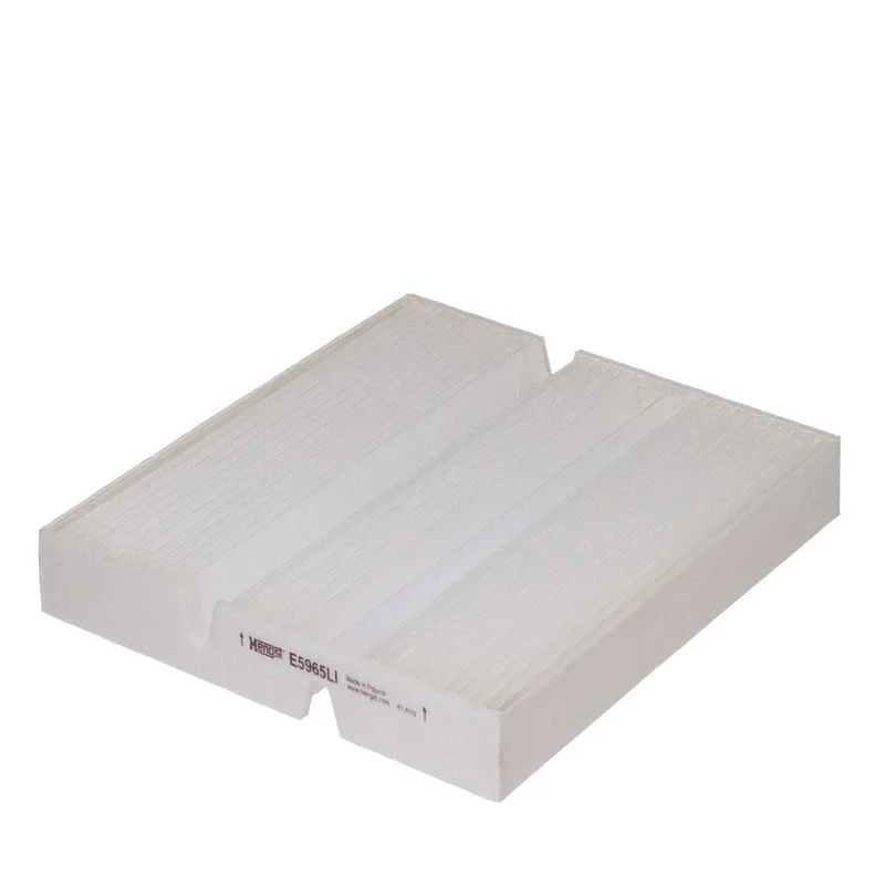 Filtras, salono oras  E5965LI