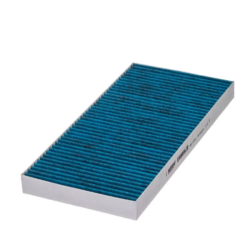 Filtras, salono oras  E6999LB