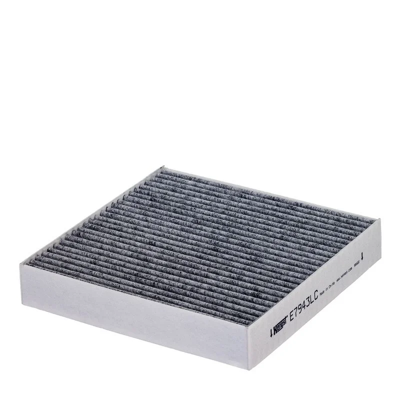 Filtras, salono oras  E7943LC