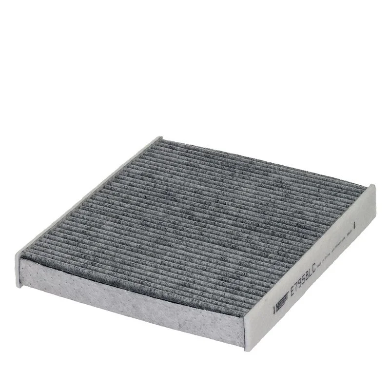 Filtras, salono oras  E7958LC