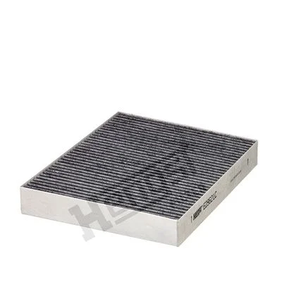 Filtras, salono oras HENGST FILTER E2962LC