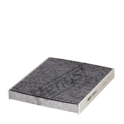 Filtras, salono oras HENGST FILTER E4981LC