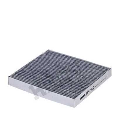 Filtras, salono oras HENGST FILTER E5975LC