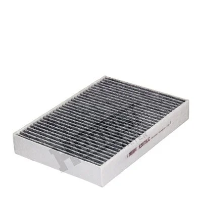 Filtras, salono oras HENGST FILTER E5979LC