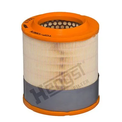 Oro filtras HENGST FILTER E725L