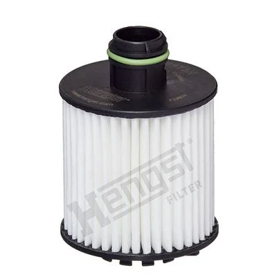 Alyvos filtras HENGST FILTER E873H D377