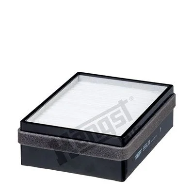 Filtras, salono oras HENGST FILTER E956LI01