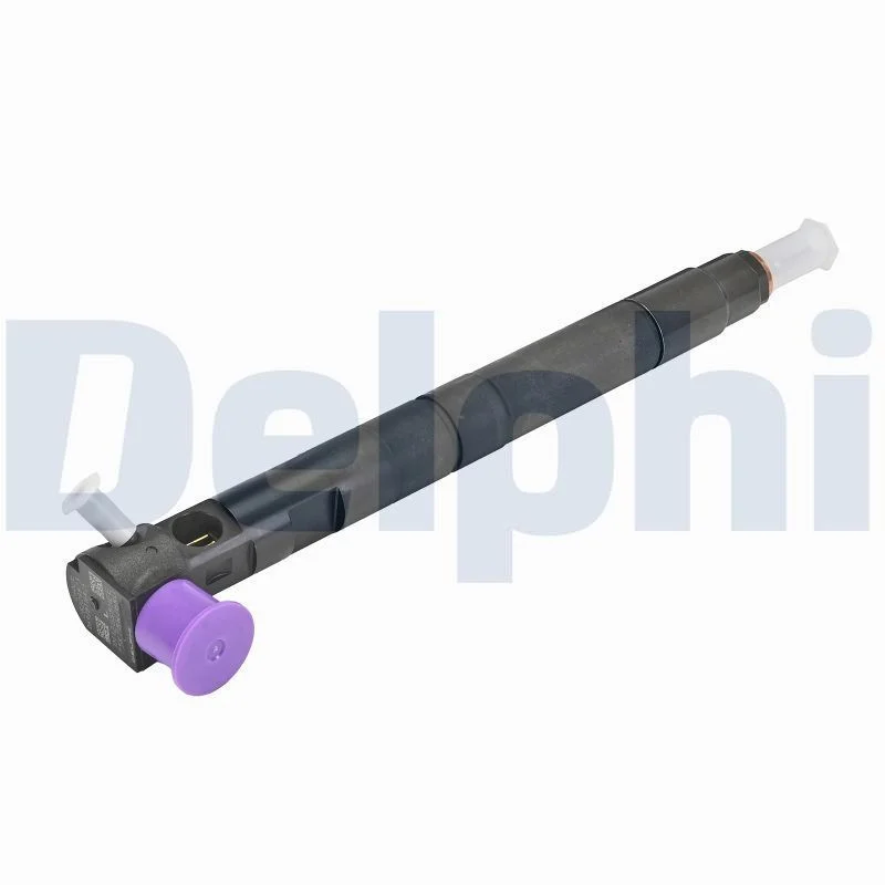 Purkštukas DELPHI 28229873-12B1