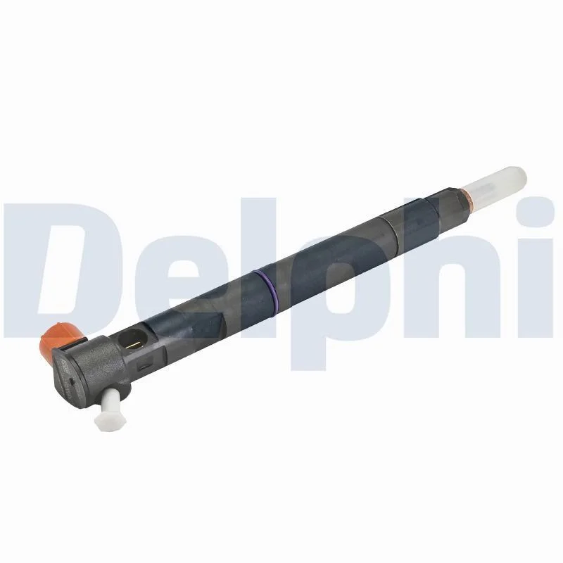 Purkštukas DELPHI 28489562-12B1