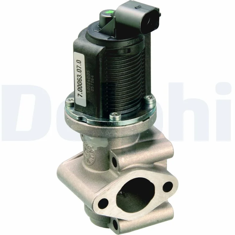 ERG vožtuvas DELPHI EG10259-12B1