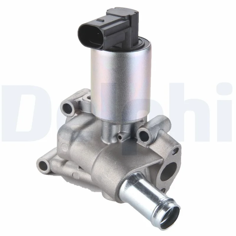 EGR Valve DELPHI EG10289-12B1