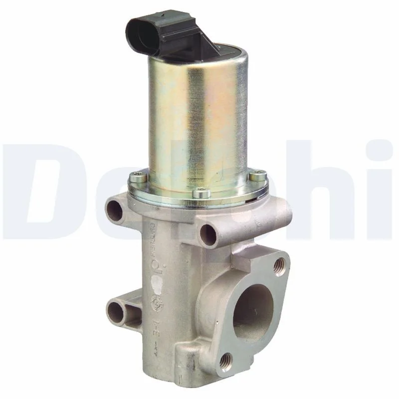 ERG vožtuvas DELPHI EG10302-12B1