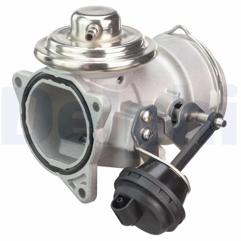 EGR Valve DELPHI EG10420-12B1