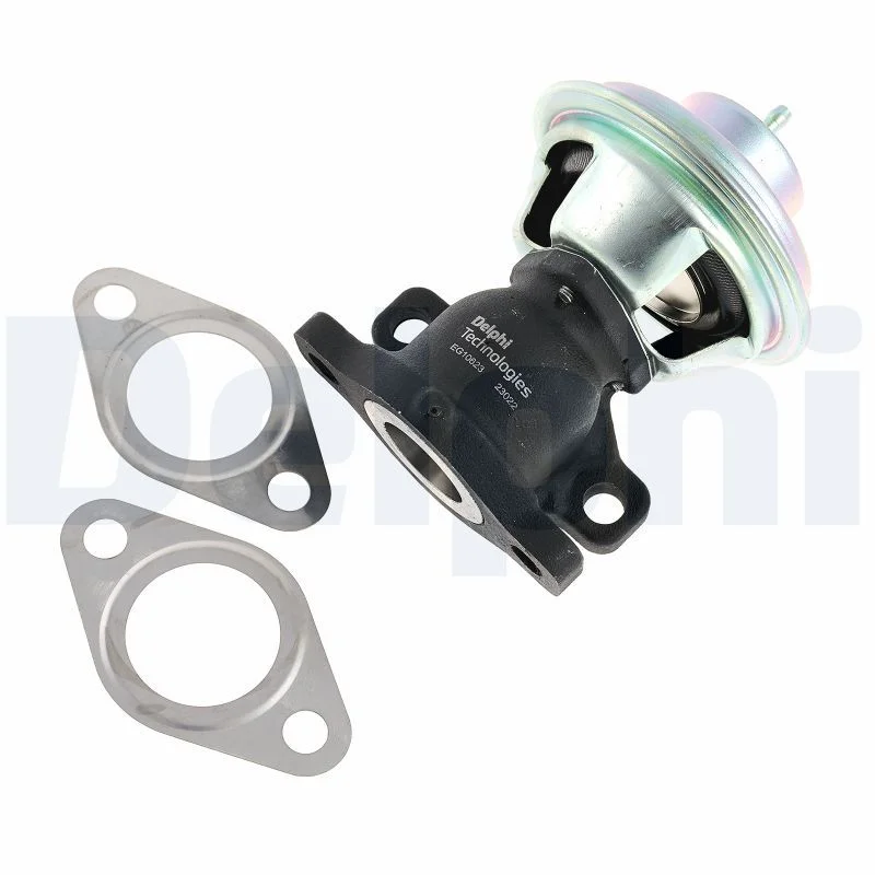 EGR Valve DELPHI EG10623-12B1