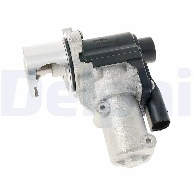 ERG vožtuvas DELPHI EG10645-12B1