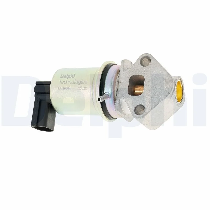 EGR Valve DELPHI EG10646-12B1