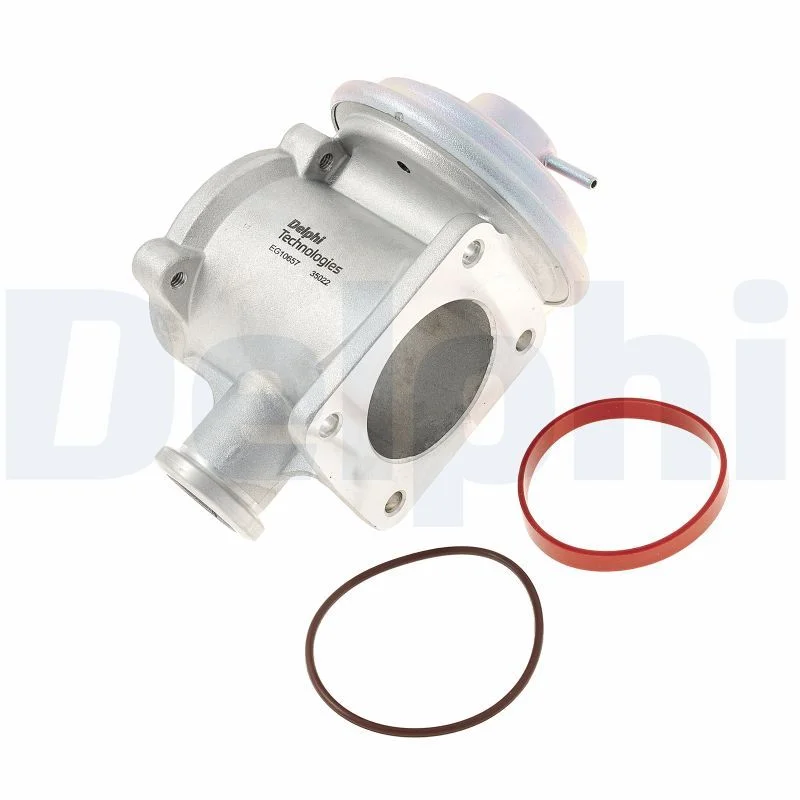 EGR Valve DELPHI EG10657-12B1