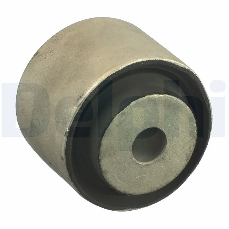 Bushing, axle beam DELPHI TD1011W