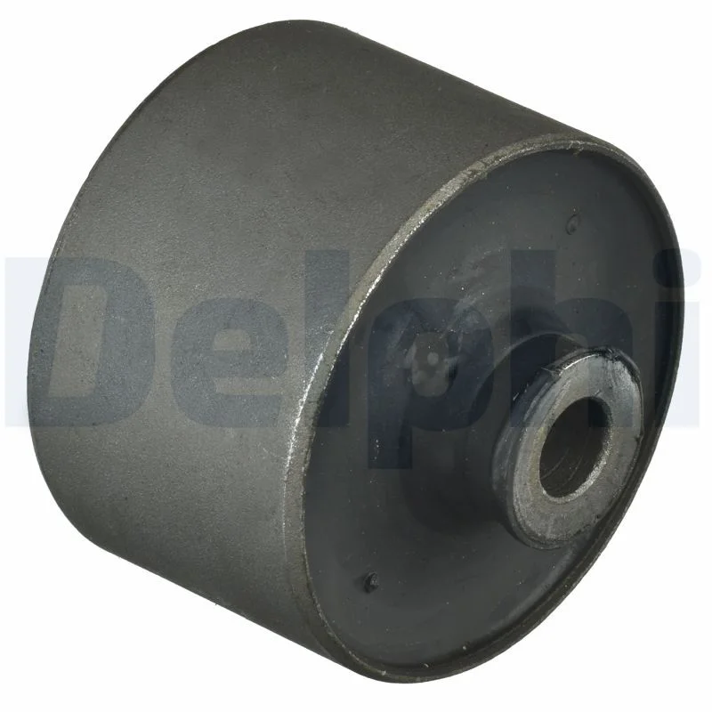 Bushing, axle beam DELPHI TD1101W