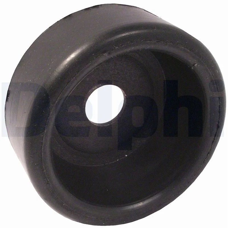 Bushing, axle beam DELPHI TD774W