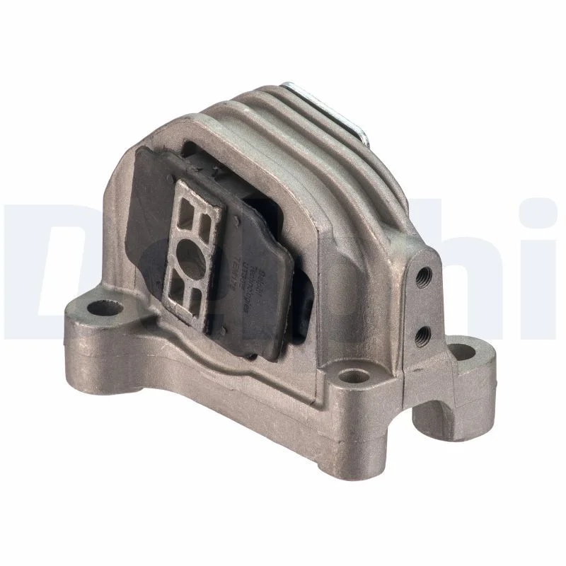 Variklio montavimas DELPHI TEM178