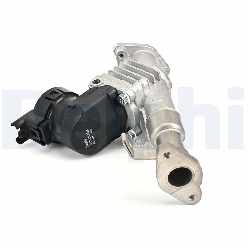 ERG vožtuvas DELPHI EG10488-12B1