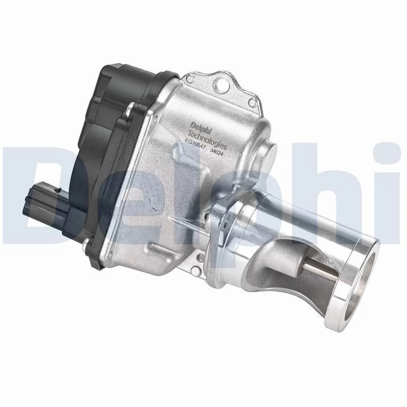 ERG vožtuvas DELPHI EG10547-12B1