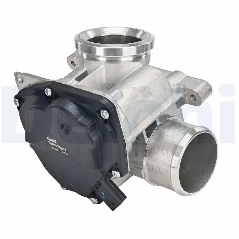 ERG vožtuvas DELPHI EG10737-12B1