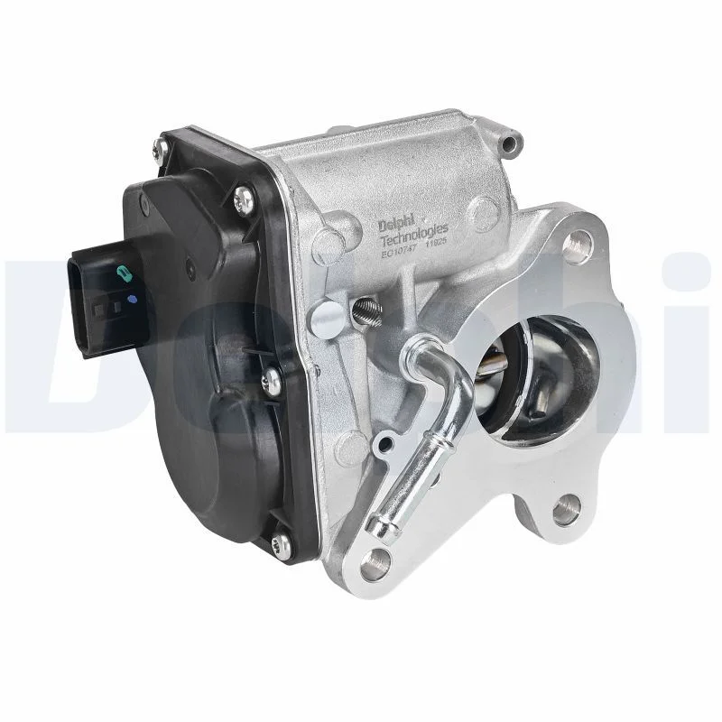 ERG vožtuvas DELPHI ELEKTRONIKA EG10747-12B1