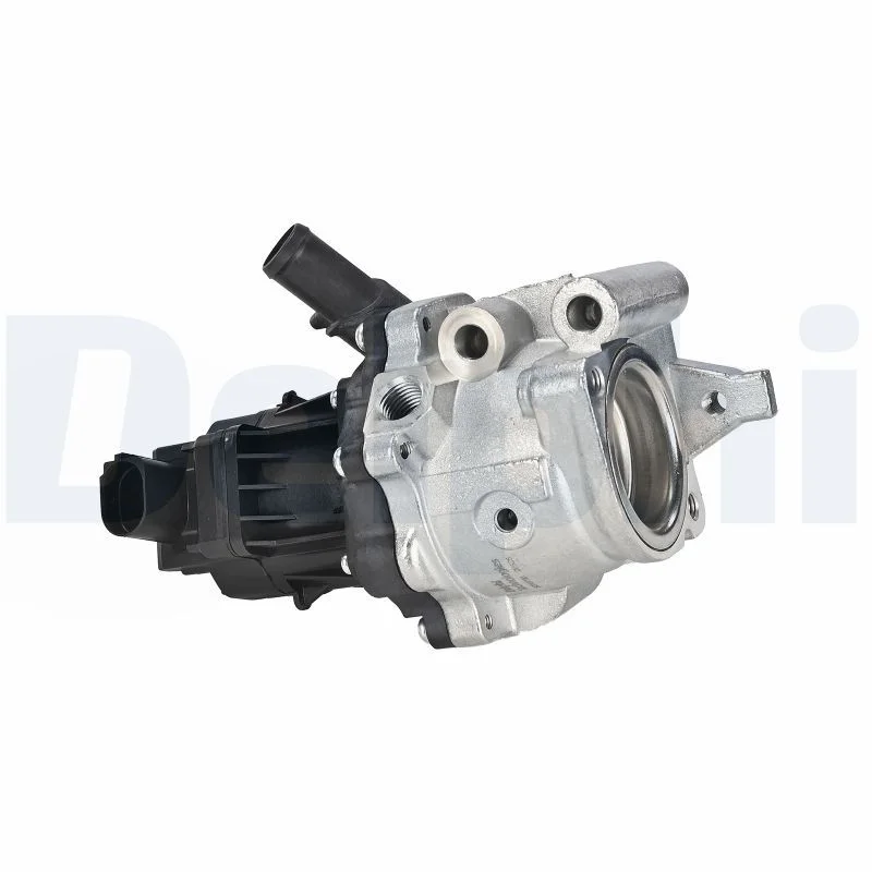 ERG vožtuvas DELPHI EG10750-12B1
