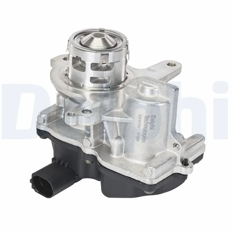 EGR Valve DELPHI EG10752-12B1