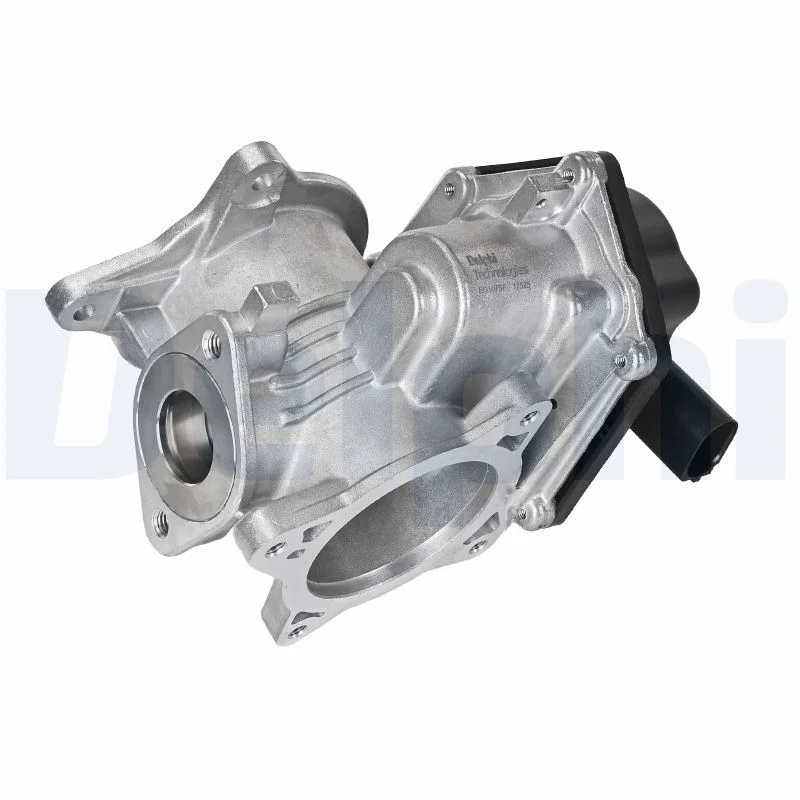 ERG vožtuvas DELPHI ELEKTRONIKA EG10757-12B1
