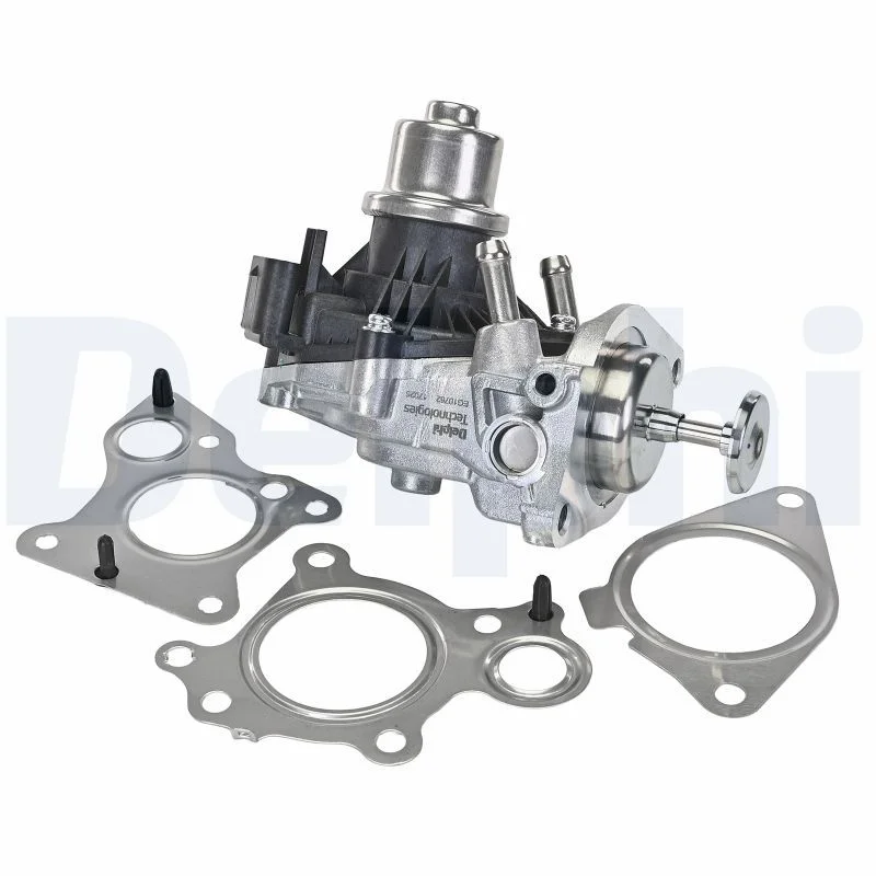 ERG vožtuvas DELPHI ELEKTRONIKA EG10762-12B1