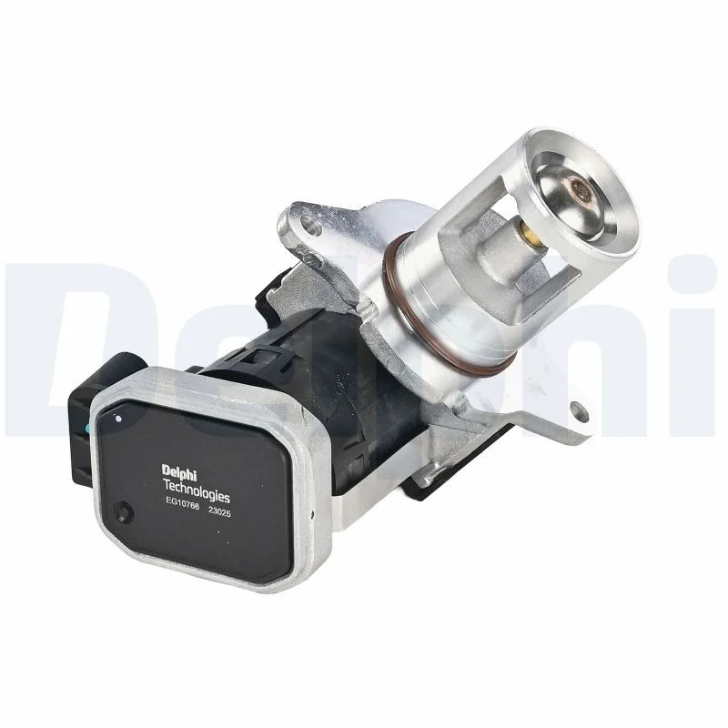 ERG vožtuvas DELPHI ELEKTRONIKA EG10766-12B1