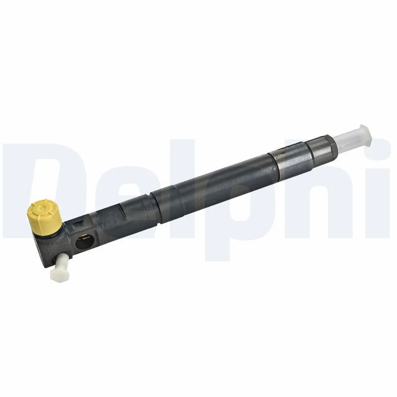 Purkštukas DELPHI R00301D-12B1
