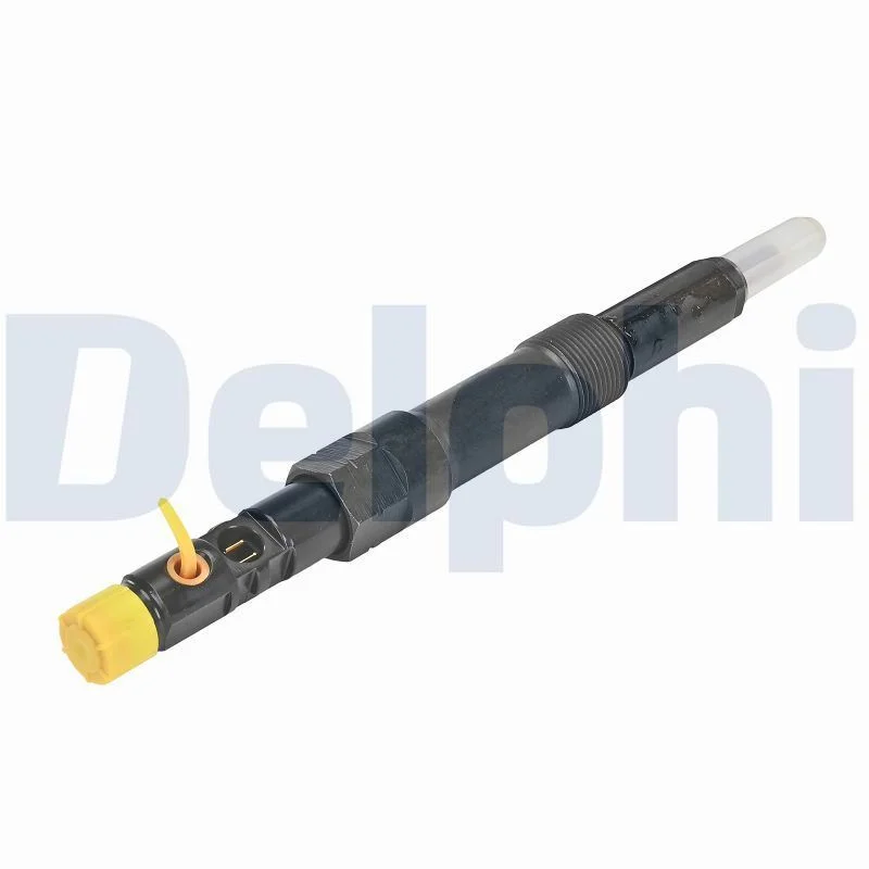 Purkštukas DELPHI R00801D-12B1