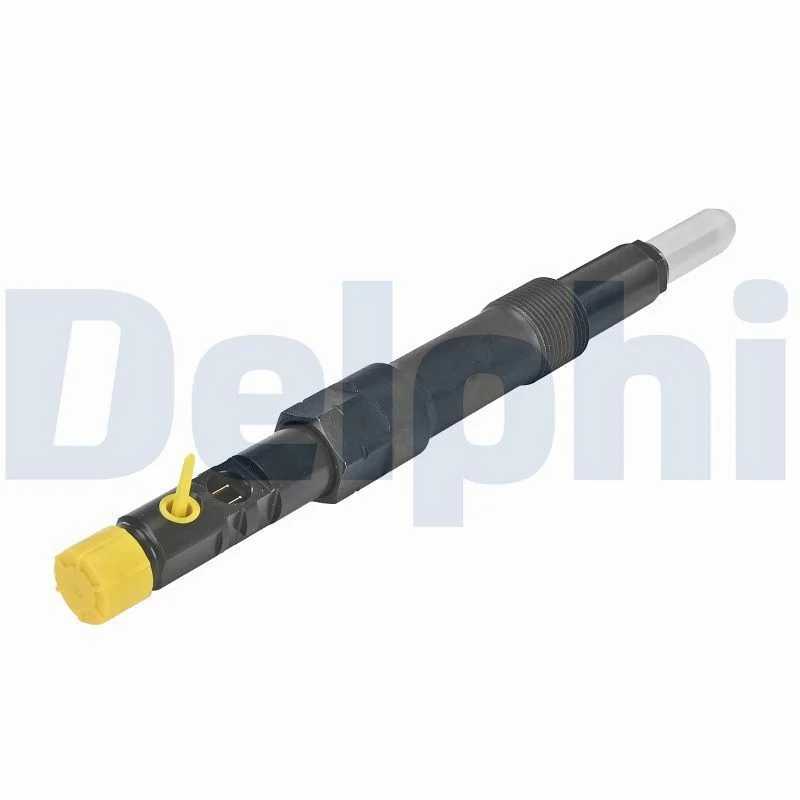 Purkštukas DELPHI R01101D-12B1