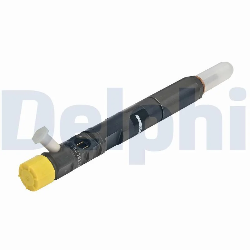 Purkštukas DELPHI R02201Z-12B1