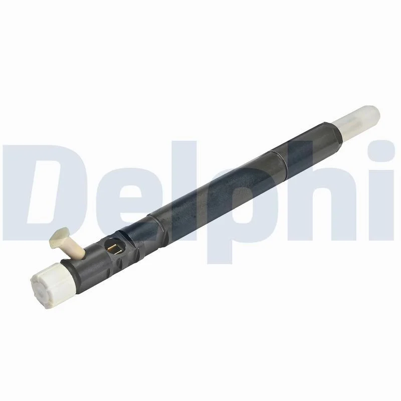 Purkštukas DELPHI R04401D-12B1