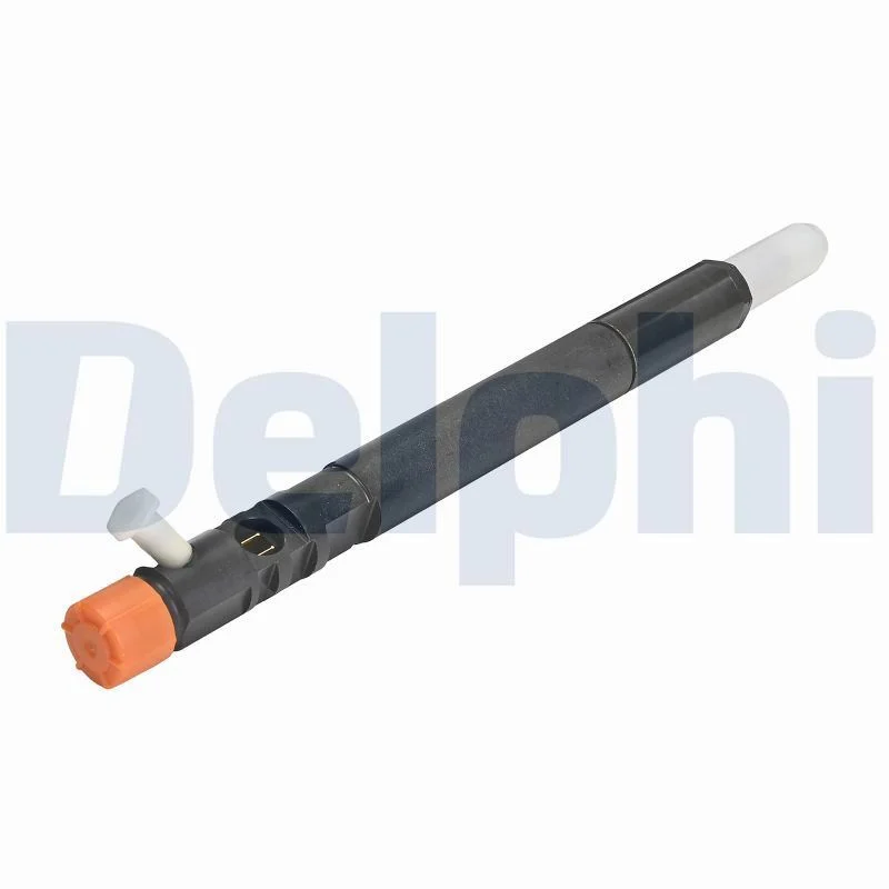 Purkštukas DELPHI R04501D-12B1